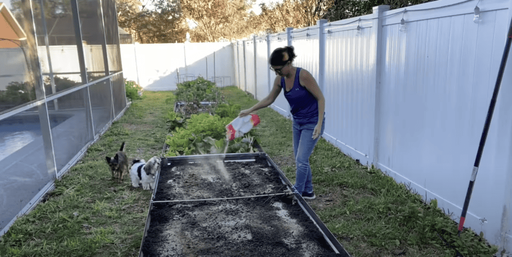 Fertilizing Garden Bed